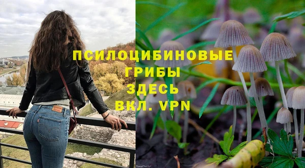 спиды Горно-Алтайск