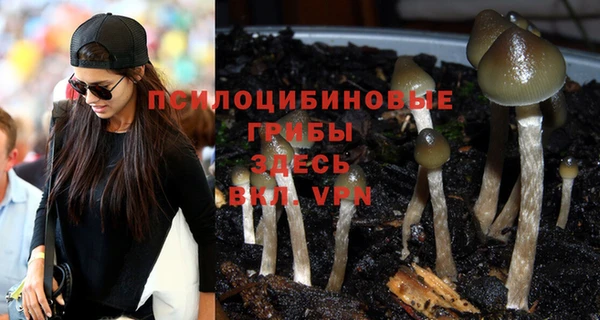 крисы Горнозаводск
