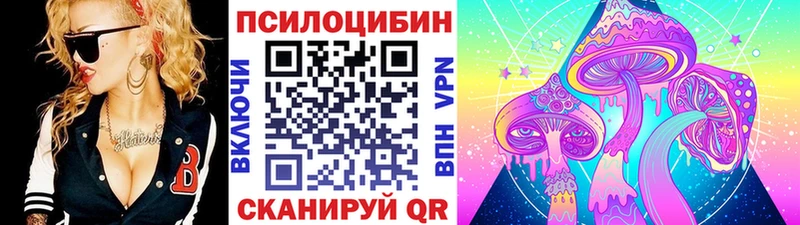 Купить где  Кимры  Галлюциногенные грибы Cubensis 